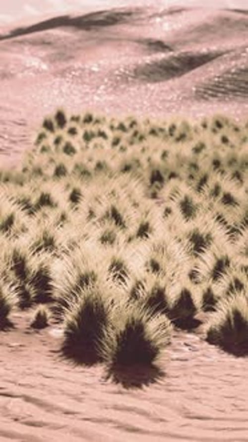 Mohave Desert Landscape with Blue Cloudy Skies