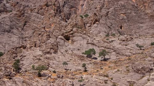 Rocky Hillside with Sparse Vegetation