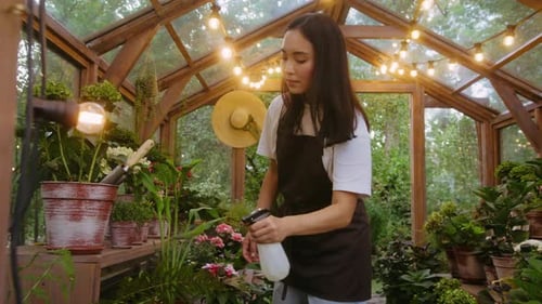 Asian Person Sprinkling Water From Spray Bottle on Plants
