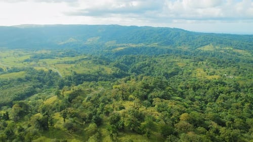 Colinas ondulantes e árvores espalhadas se estendem pela paisagem verde da Costa Rica