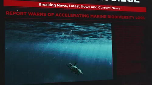 Grungy News Broadcast Opener with Animated Text and Glitch Effects