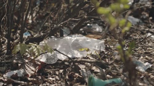 Plastic Waste under Bushes in Forest
