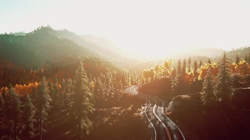 A Serene Forest Road at Sunset