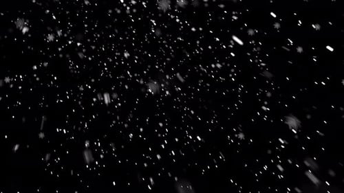 Rapid Descent of Large Snowflakes and Crystals Towards Camera 4K Loop