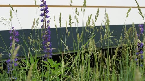 Captura en ángulo bajo de un tren de pasajeros que pasa por la vía férrea