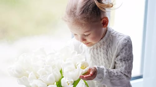 Little Girl Admiring Bouquet of White Tulips