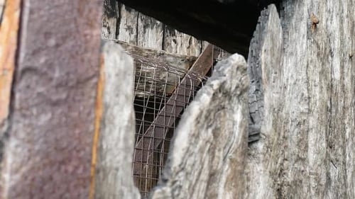 Close Up Textures on Weathered Wooden Building