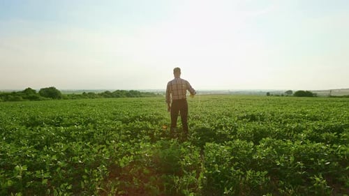 Back View of a Farmer Wearing a Plaid Shirt Standing on the Field A Man Raises a Spade Looking at