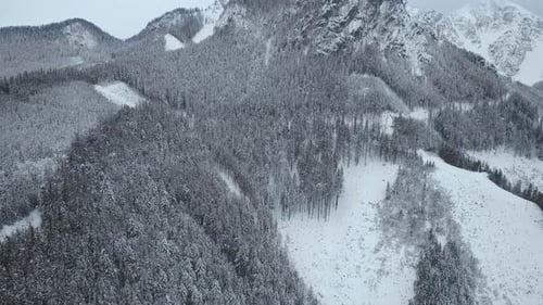 Aerial view of an alpine winter landscape with tremendous mountains.