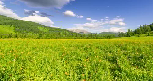 Mountain Meadow Timelapse at the Summer or Autumn Time Wild Nature and Rural Field Clouds Movement