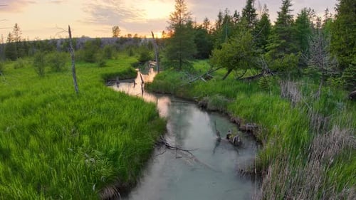 Aerial drone view of a winding stream cutting through lush green marshland and forest at sunset.