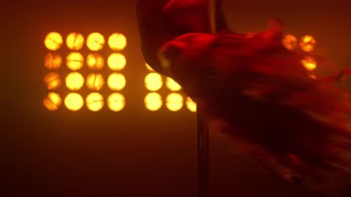 Seductive Pole Dancer Performing Erotic Dance In Srtip Club Spotlights. Hot Acrobatic Girl Spinni...