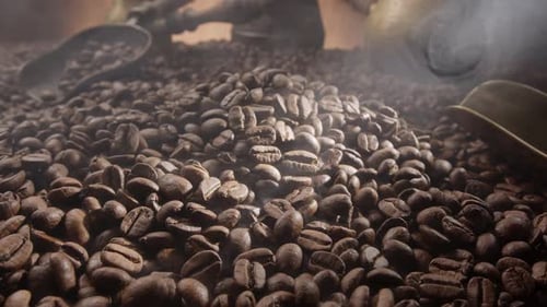 Steaming Roasted Coffee Beans with Scoops and Vintage Grinder