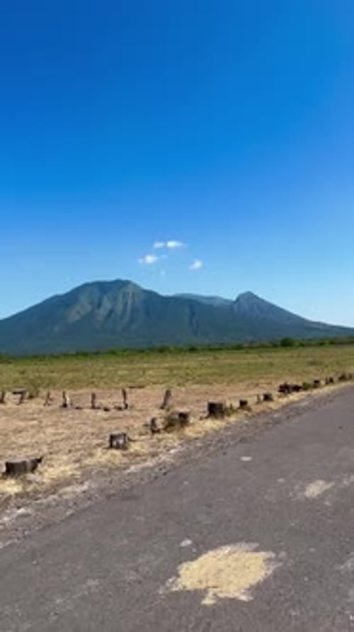 Savanne im Baluran-Nationalpark - Vertikales Video