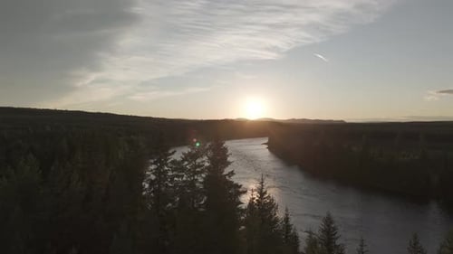 Drone shot flying over a calm river in Norway during golden hour in between green pine trees on a su
