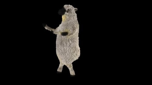 Animated Dancing Sheep Character Loop