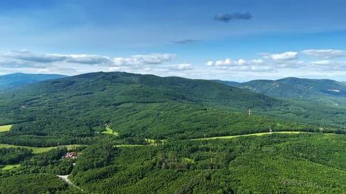 Lush green hills under a clear blue sky. Rolling hills covered in dense forest showcase