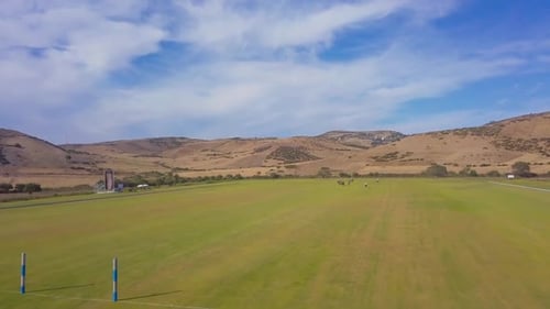Equestrian Polo Players Compete on a Green Field