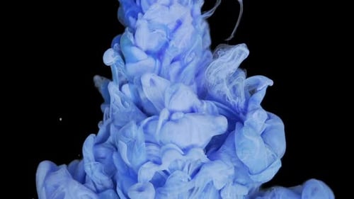 Serene Swirling and Splashing of Blue Ink Underwater Leaving a Captivating Ink Cloud on Black