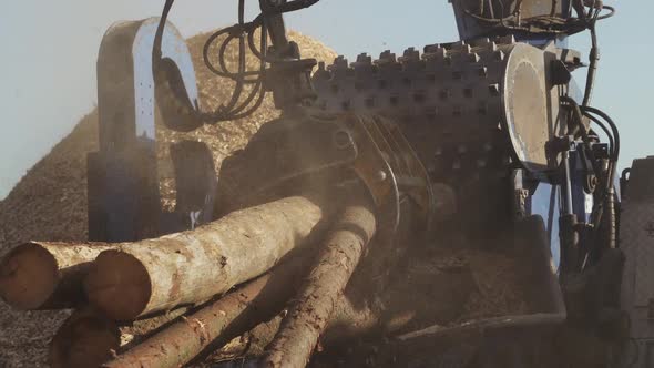 Industrial Lumber Machine Processing Logs into Woodchips, Industrial ...