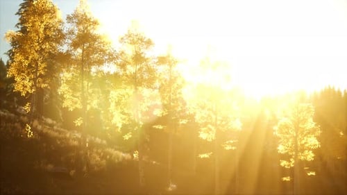 Mountain Autumn Landscape with Yellow Forest