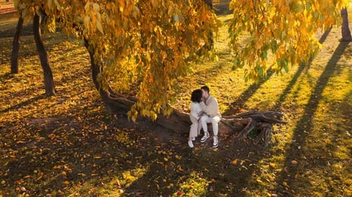 Drone view of a romantic couple in an autumn park. Kissing each other. Autumn atmosphere, yellowing