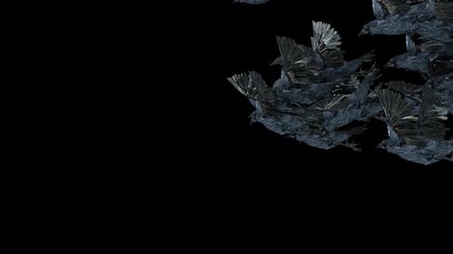 Stylized Geometric Swarm of Dark Birds