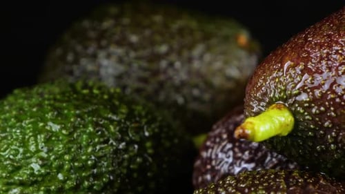 Drops of water fall on avocado fruits with leaves on a black background. Raw Fruits, healthy food.