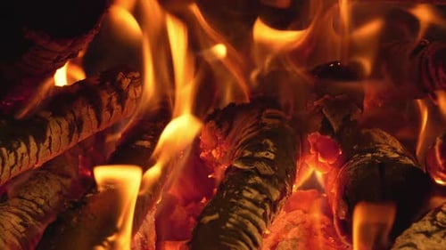 Camp Fire