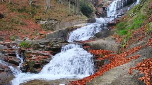 Mountain stream waterfall flowing in autumn forest. Rushing water cascading over stone ledges among
