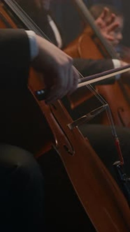 Vertical of String Musicians Making Live Performance