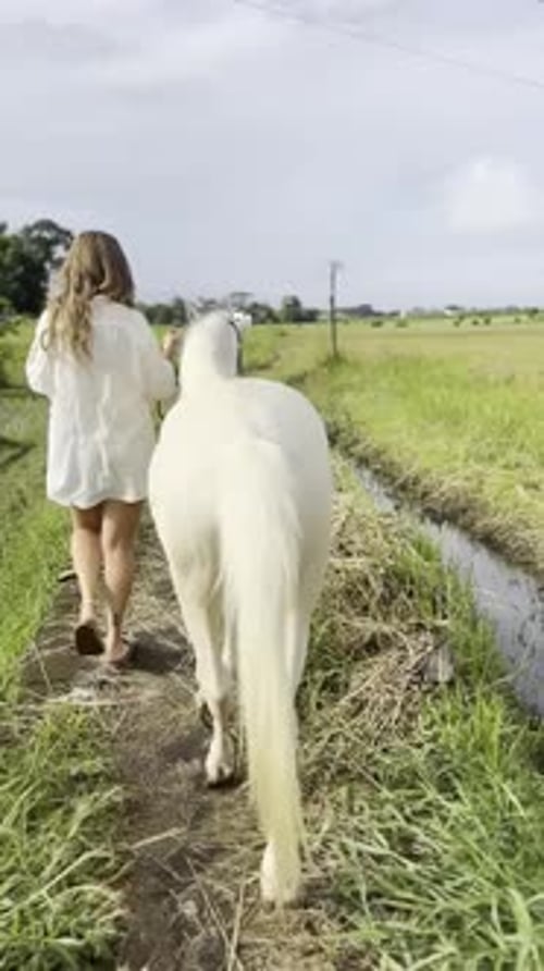 Graceful Horse Riding in Rural Indonesia
