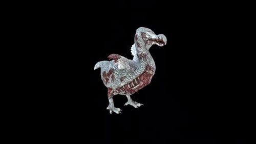 Zombie Dodo Startled