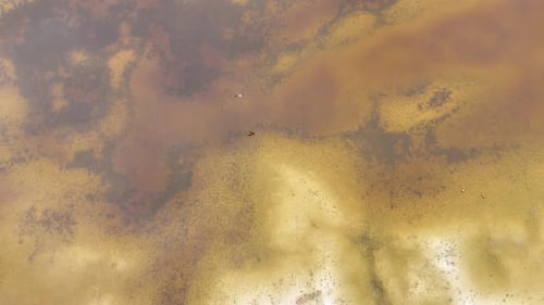 Dürren und Klimawandel
