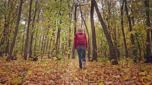 Beautiful Autumn Forest Landscape A Young Woman Joyfully Runs on a Carpet of Bright Yellow Leaves