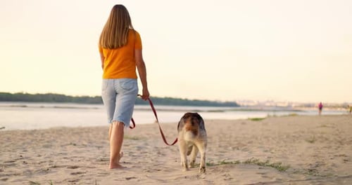 Young Woman Enjoying Evening Walk with Her Pet Dog on the Beach in Summer