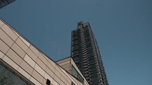 Animated downtown business district