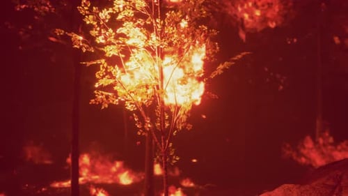 Llamas intensas de un enorme incendio forestal