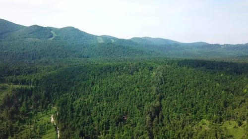 Drone view of a bright green mountain forest landscape