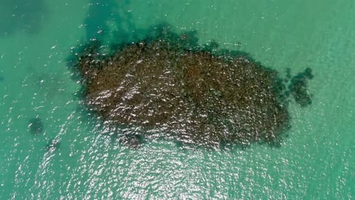 Above aerial shot of crystal clear turquoise caribbean waters