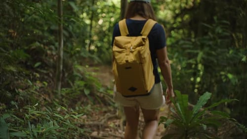 Woman with Yellow Backpack Walks Through Dense Jungle in Thailand Surrounded by Tropical Foliage and