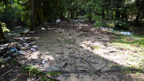 Slowly move over illegal rubbish dump at forest