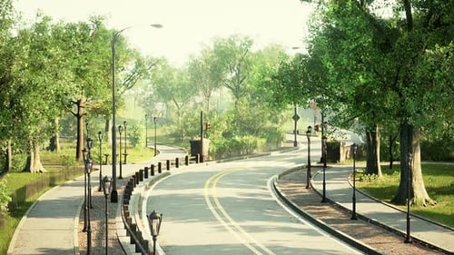 Country Asphalt Road and Green Trees Nature Landscape in the Summer