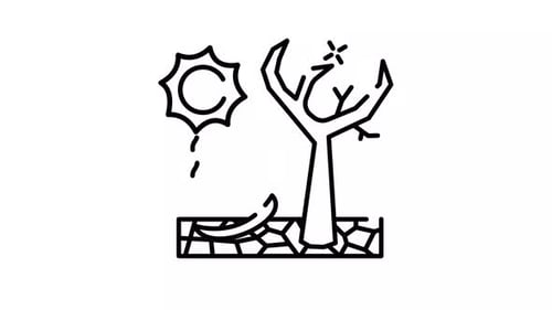 Drought Outline Icon Animation with Alpha Channel