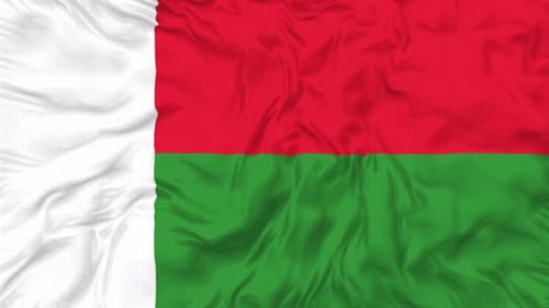 Realistic Waving Flag of Madagascar Animated Background