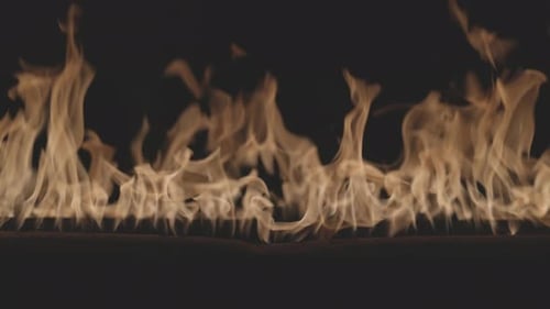 Fire Burning Bright Burning Flames on a Black Background Fire in Slow Motion Wall of Real Fire