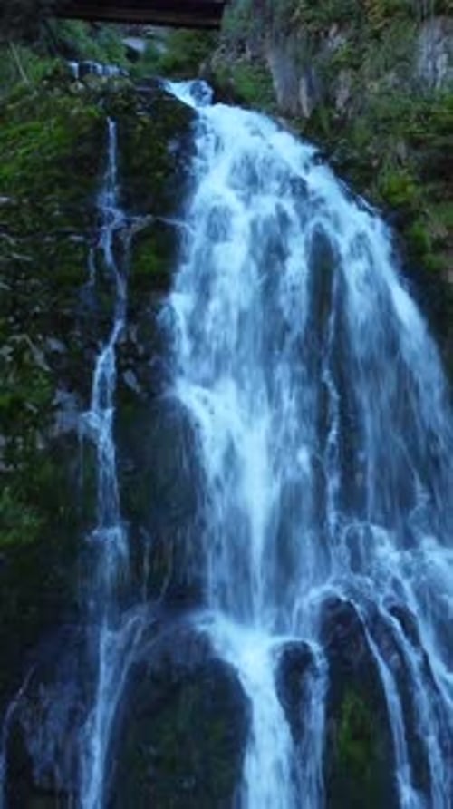 Uma cachoeira serena caindo graciosamente em meio a uma vegetação exuberante e vibrante ao seu redor