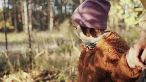A Happy Little Girl Walk with Her Mother Enjoying the the Sun in Autumn Forest Family Moments