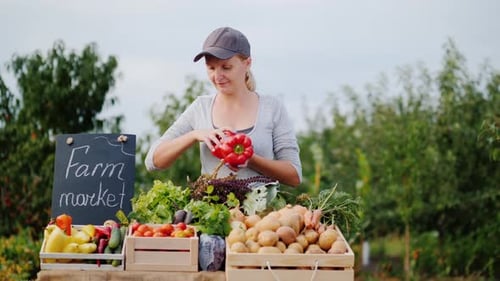Young Female Farmer is Laying Vegetables on the Counter of a Farmers Market