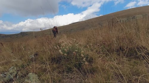 Low angle: Young male backpacker walks toward camera in hilly meadow